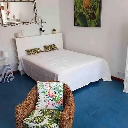 Apartman Loft Elegante