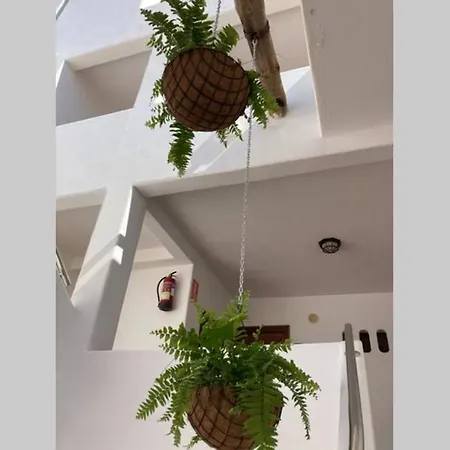 Loft Elegante Apartment Costa Teguise