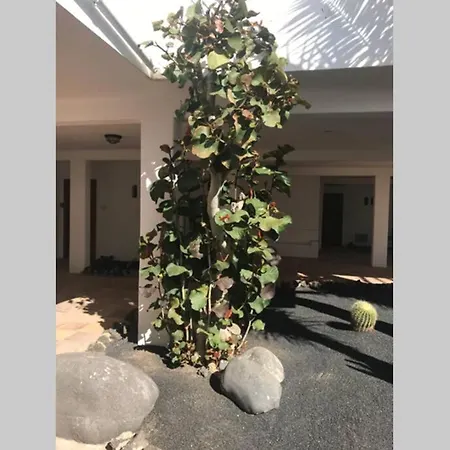 Loft Elegante Apartment